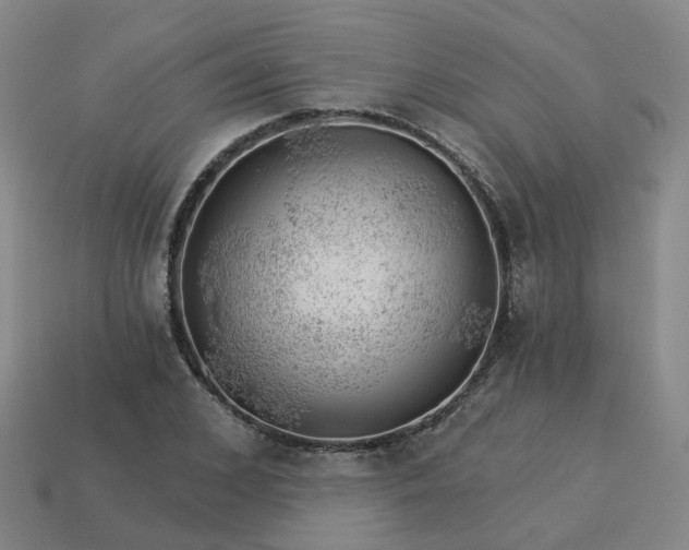 X0000114080976200910191539