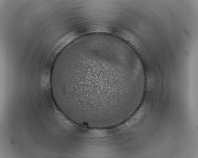 X0000114080977200910191539