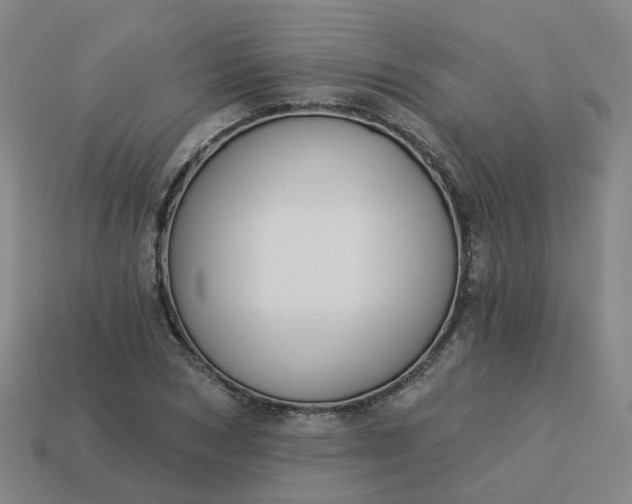 X0000114080978200910191539