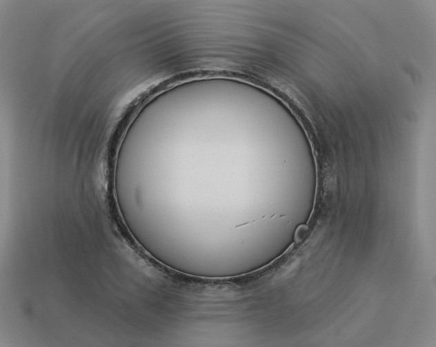 X0000114080979200910191539