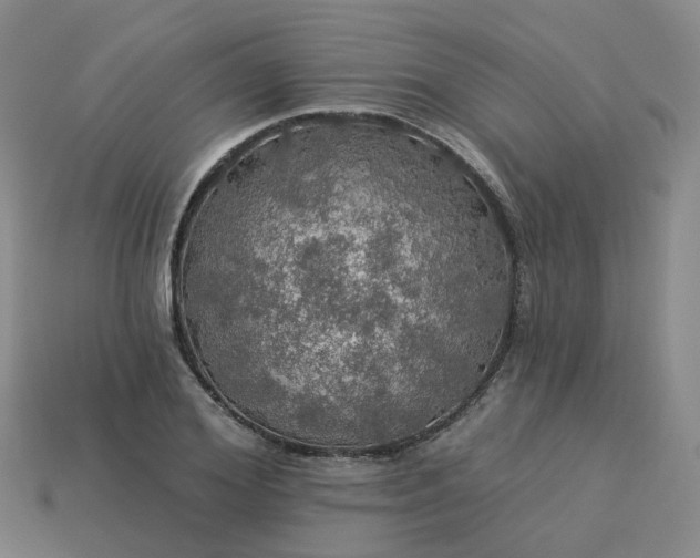 X0000114080980200910191539