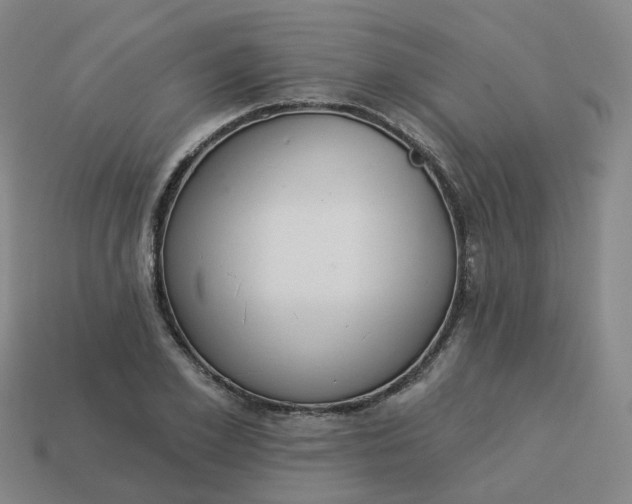 X0000114080981200910191539