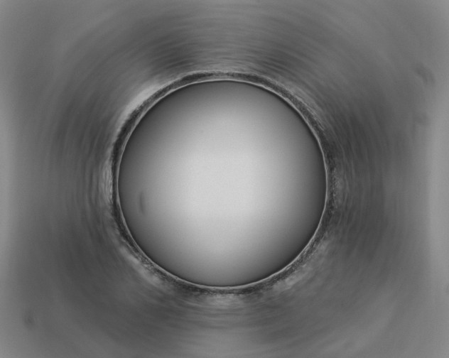 X0000114080982200910191539