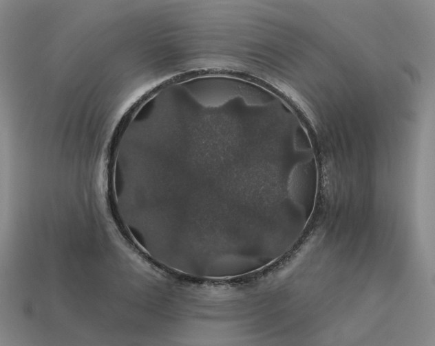 X0000114080983200910191539