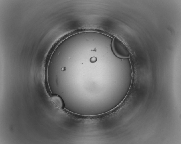 X0000114080984200910191539