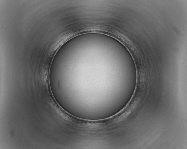 X0000114080985200910191539