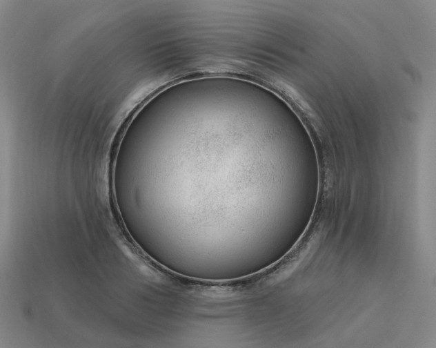 X0000114080986200910191539