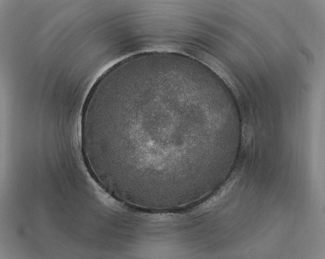 X0000114080988200910191539