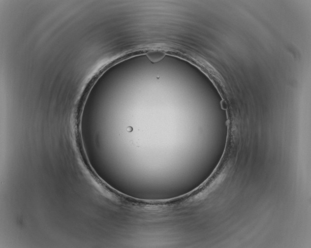 X0000114080989200910191539