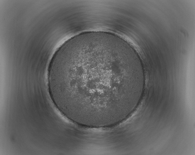 X0000114080990200910191539