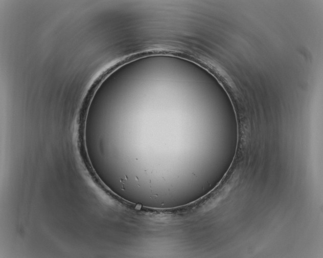 X0000114080991200910191539