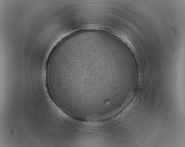 X0000114080992200910191539