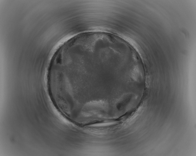 X0000114080995200910191538