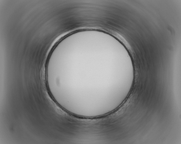 X0000114080996200910191538