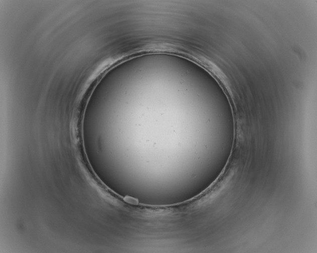 X0000114080997200910191538