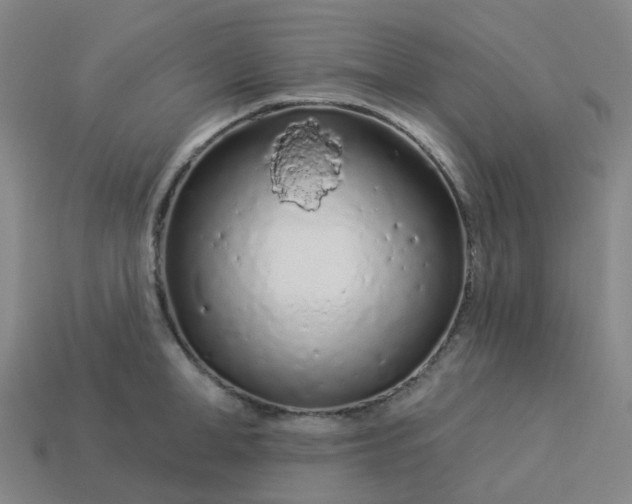 X0000114080998200910191538