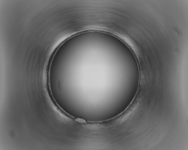 X0000114080999200910191538