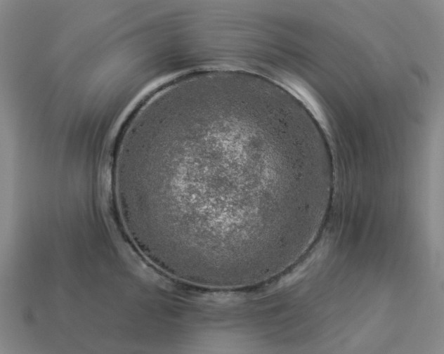 X0000114081000200910191538