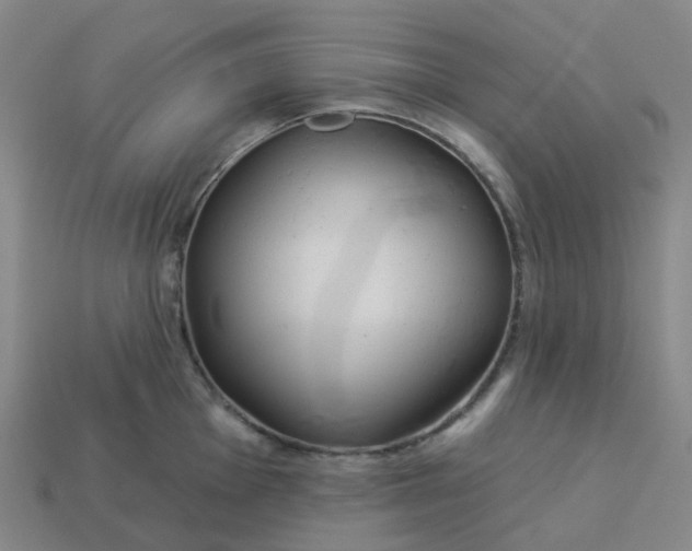 X0000114081001200910191538