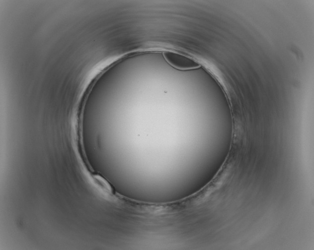 X0000114081003200910191538