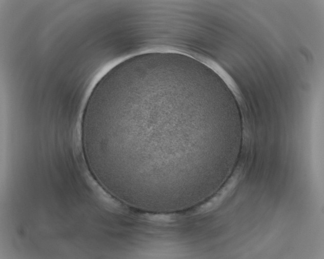 X0000114081004200910191538