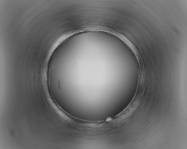 X0000114081005200910191538