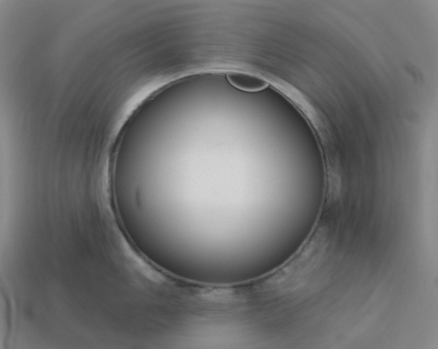 X0000114081006200910191538