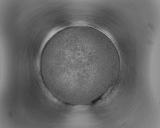 X0000114081008200910191538