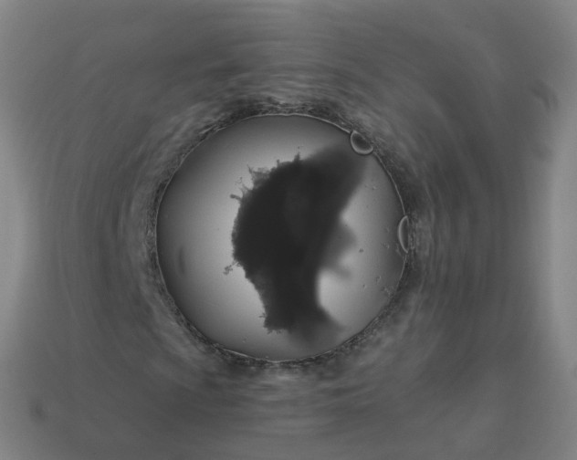 X0000114081009200910191538