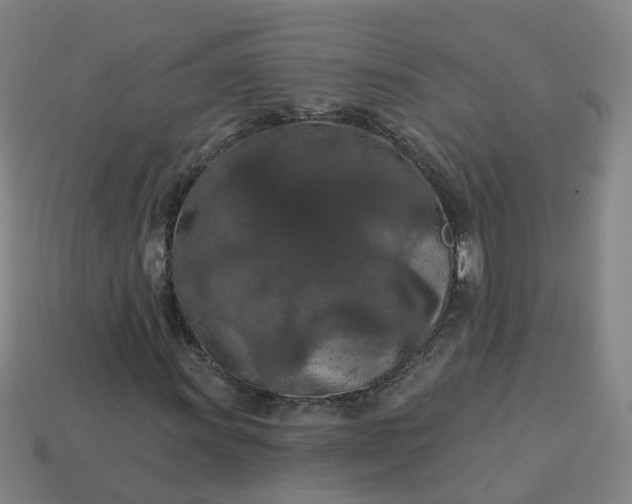 X0000114081011200910191538