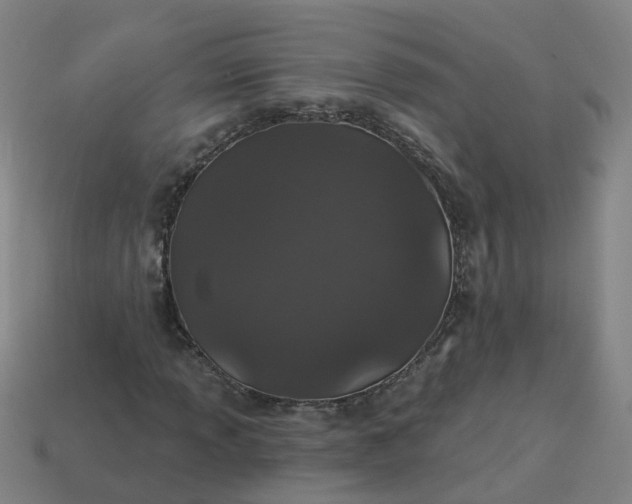 X0000114081013200910191538