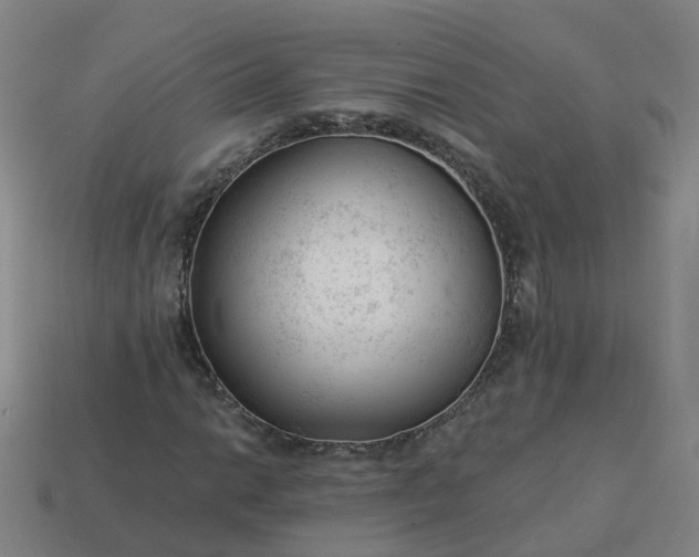 X0000114081014200910191538