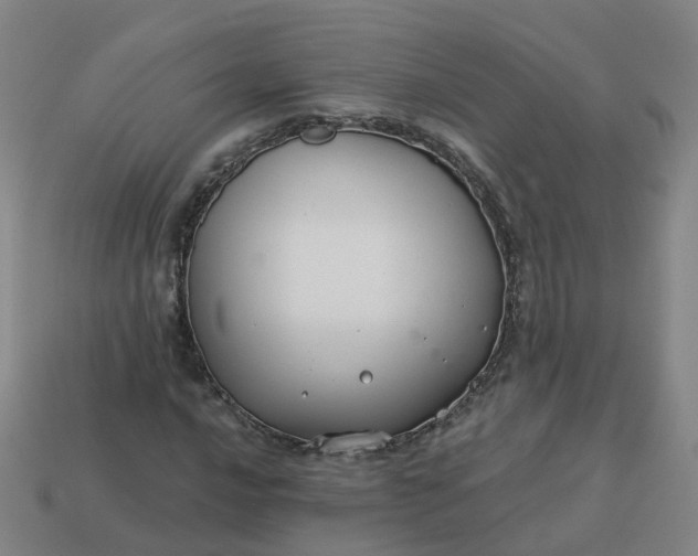 X0000114081016200910191538