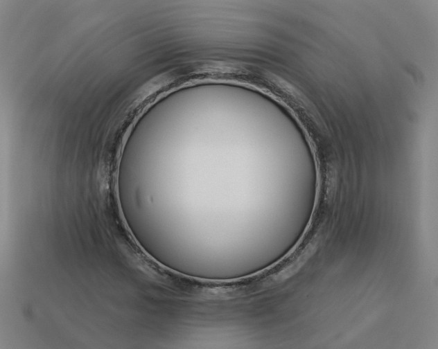 X0000114081017200910191538