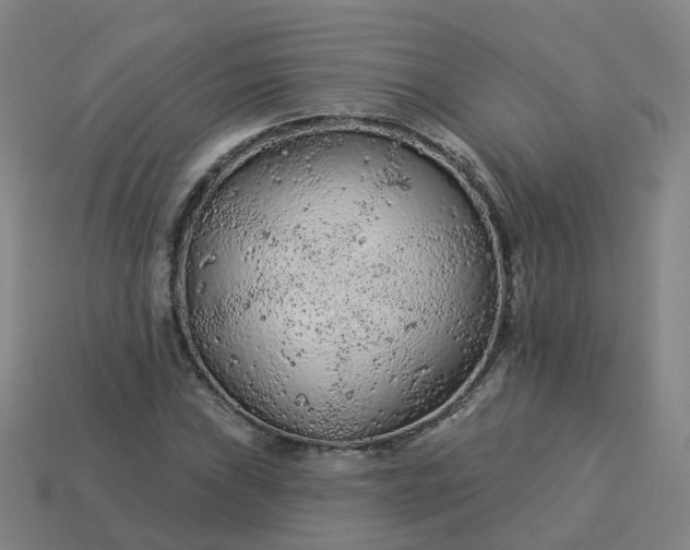 X0000114081019200910191538