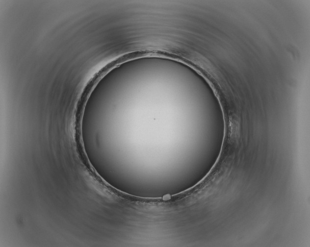 X0000114081020200910191538