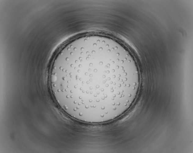 X0000114081021200910191538