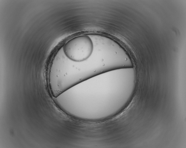 X0000114081022200910191538