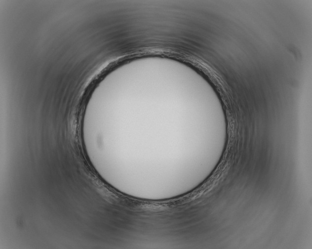 X0000114081023200910191538