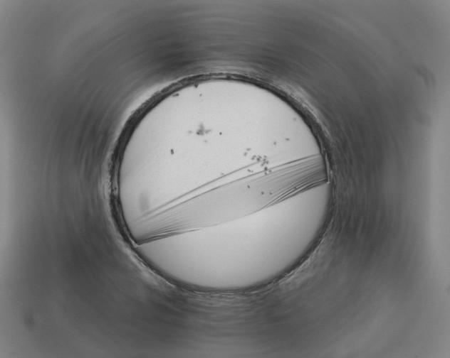 X0000114081024200910191538