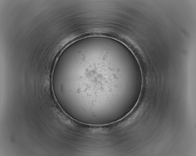 X0000114081025200910191538