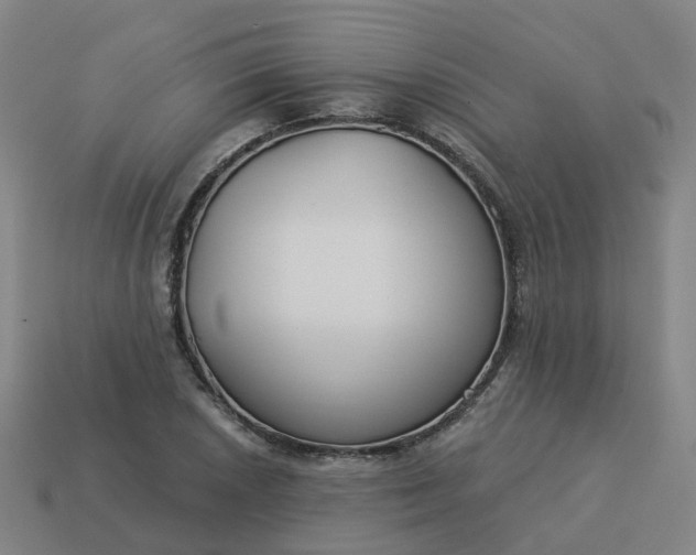 X0000114081026200910191538