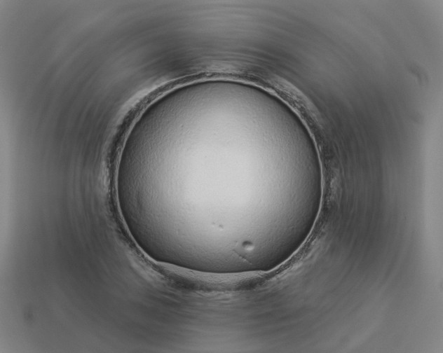 X0000114081027200910191538