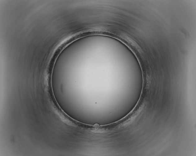 X0000114081029200910191538