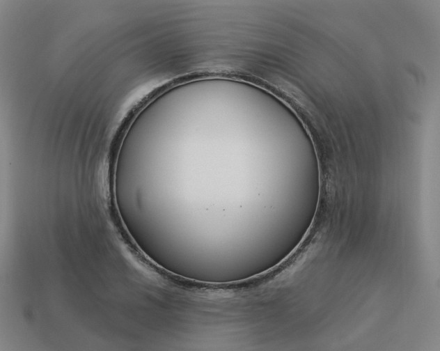 X0000114081030200910191538