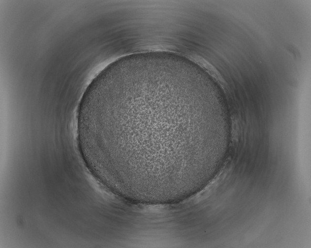 X0000114081031200910191538