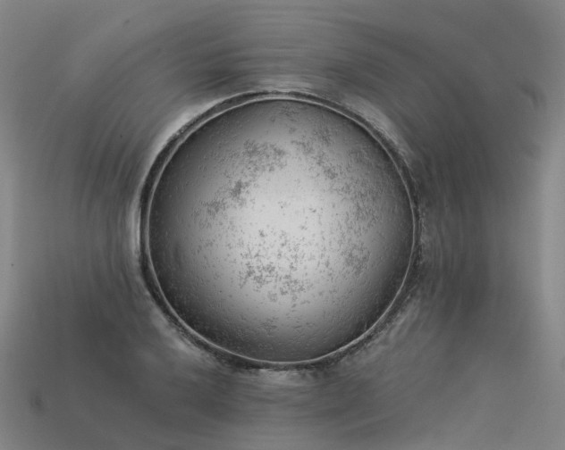 X0000114081032200910191538