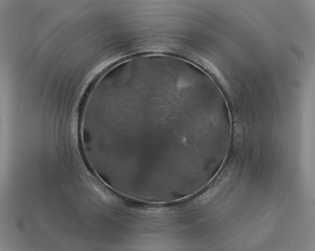 X0000114081035200910191538