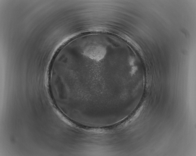 X0000114081037200910191538