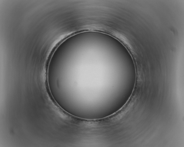 X0000114081040200910191538